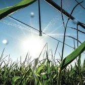 Partnership Aims to Streamline ‘When to Water’ App