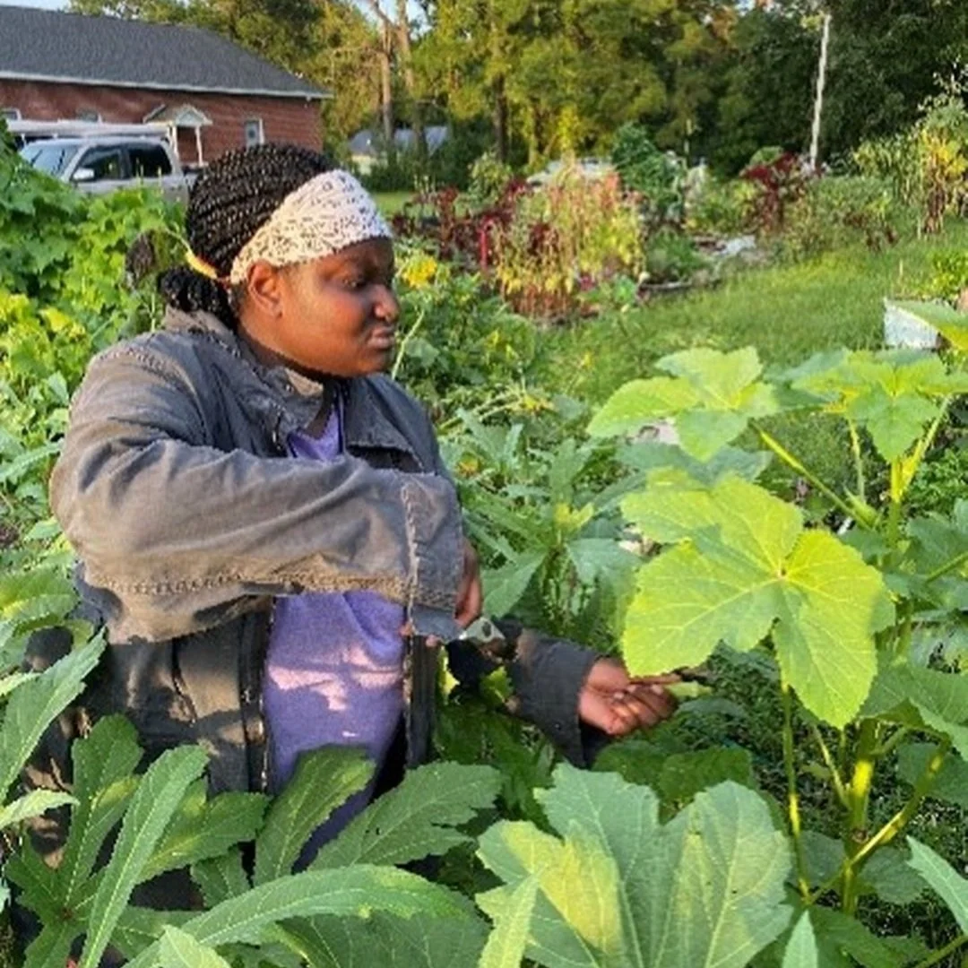 SU Agricultural Science Students Engage in Experiential Research at Johnson C. Smith University