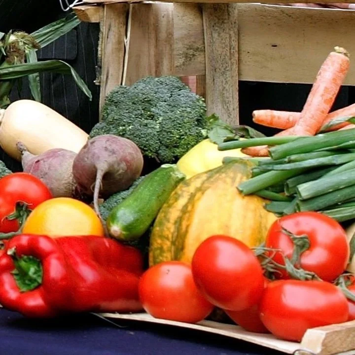 Idea Schools in Baton Rouge Add School Farm