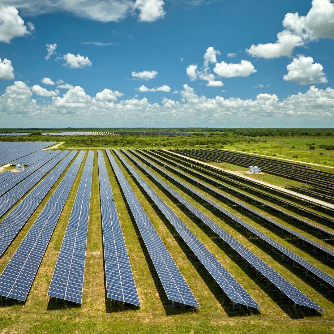 St. Landry Parish Farmland To Be Turned Into Solar Farms