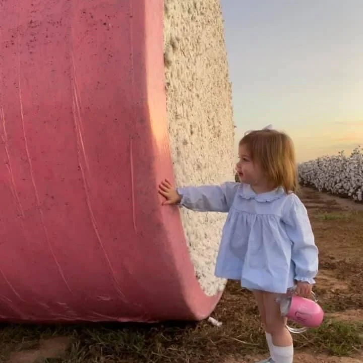 Building Trust For US Cotton