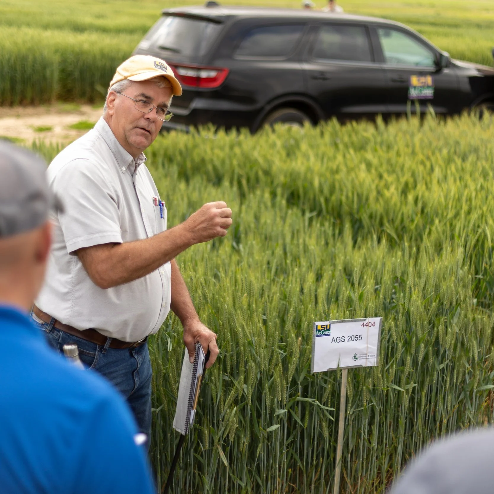 Disease, Pests, Drones Discussed at Wheat, Oat Field Day