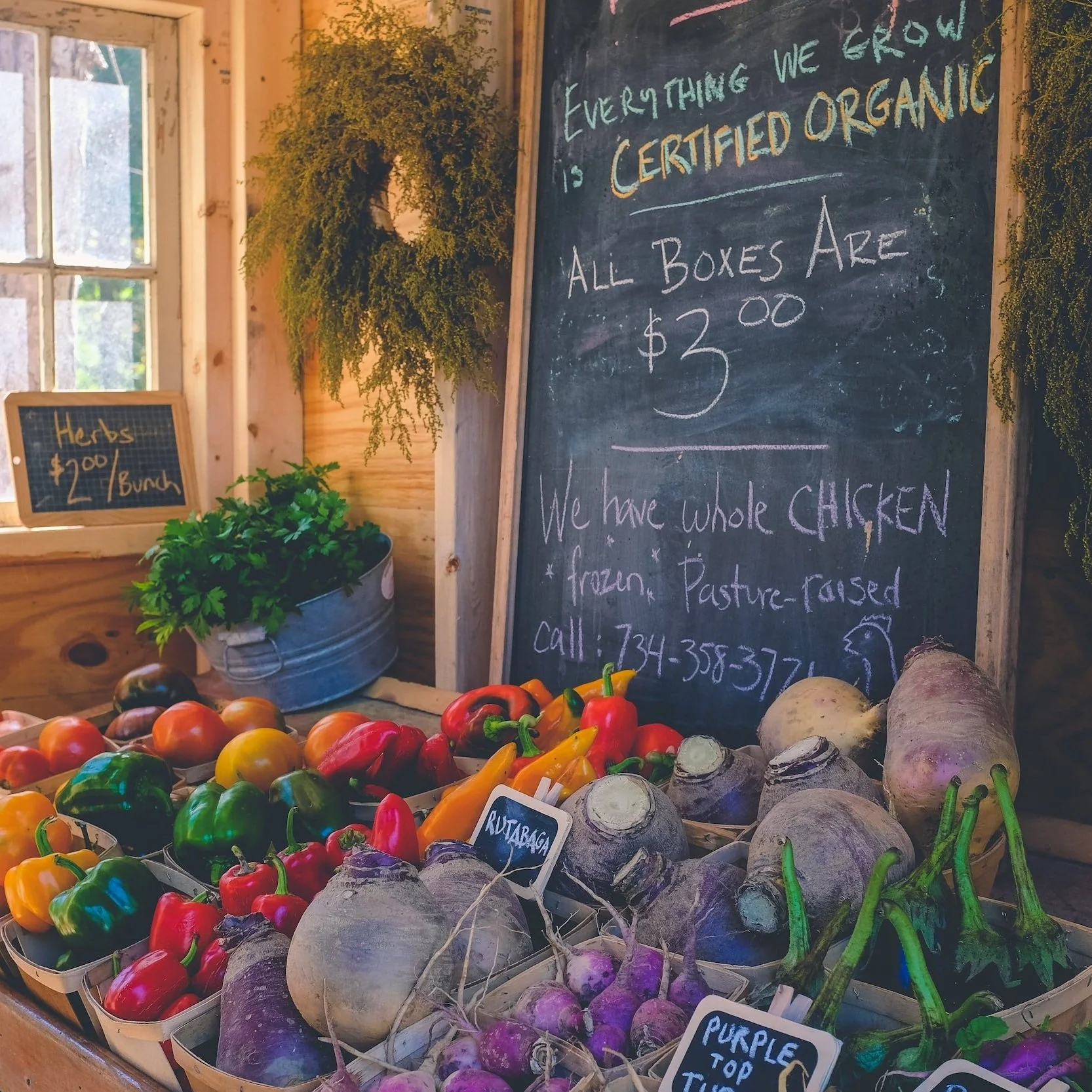 USDA Accepting Applications to Help Cover Costs of Organic Producers