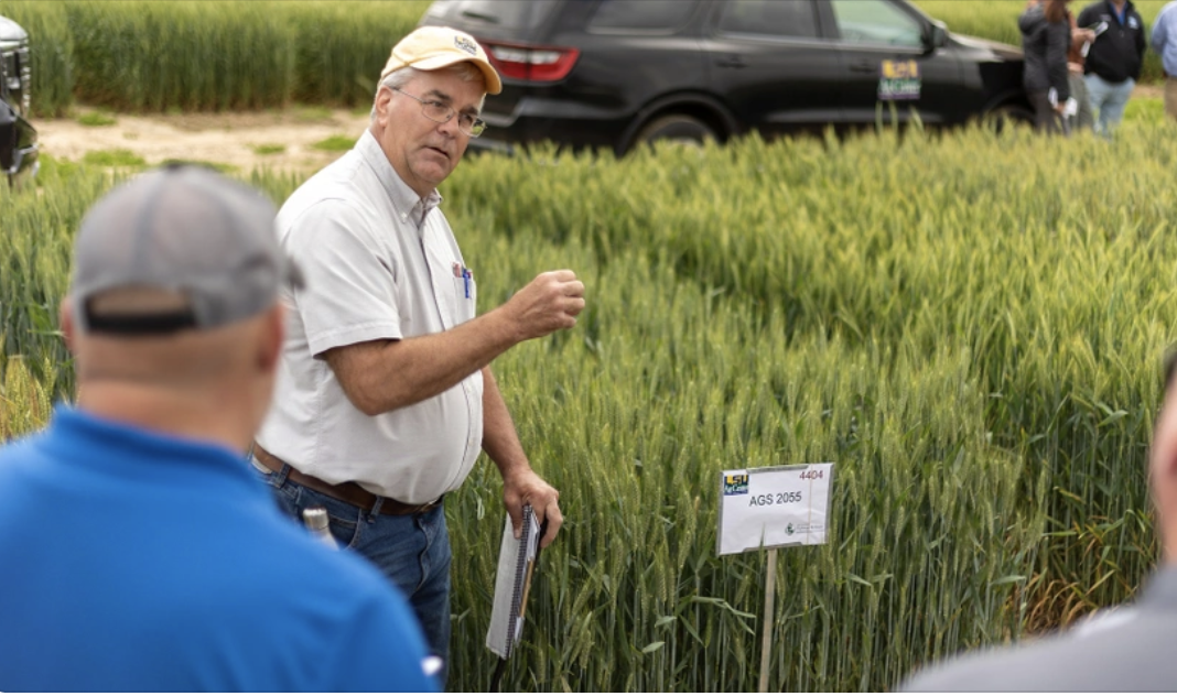 Disease, Pests, Drones Discussed at Wheat, Oat Field Day