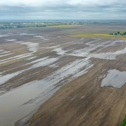 NELA Farm Crops Suffer Following Heavy Rain &amp; Frost Season