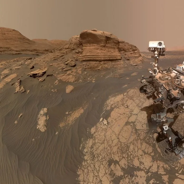 How To Grow Rice On Mars