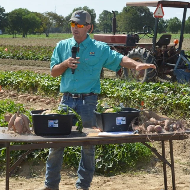 AgCenter Appoints New Sweet Potato Specialist