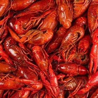 It's A Law In Louisiana: Don't Steal Crawfish &amp; Don't Arm Chickens