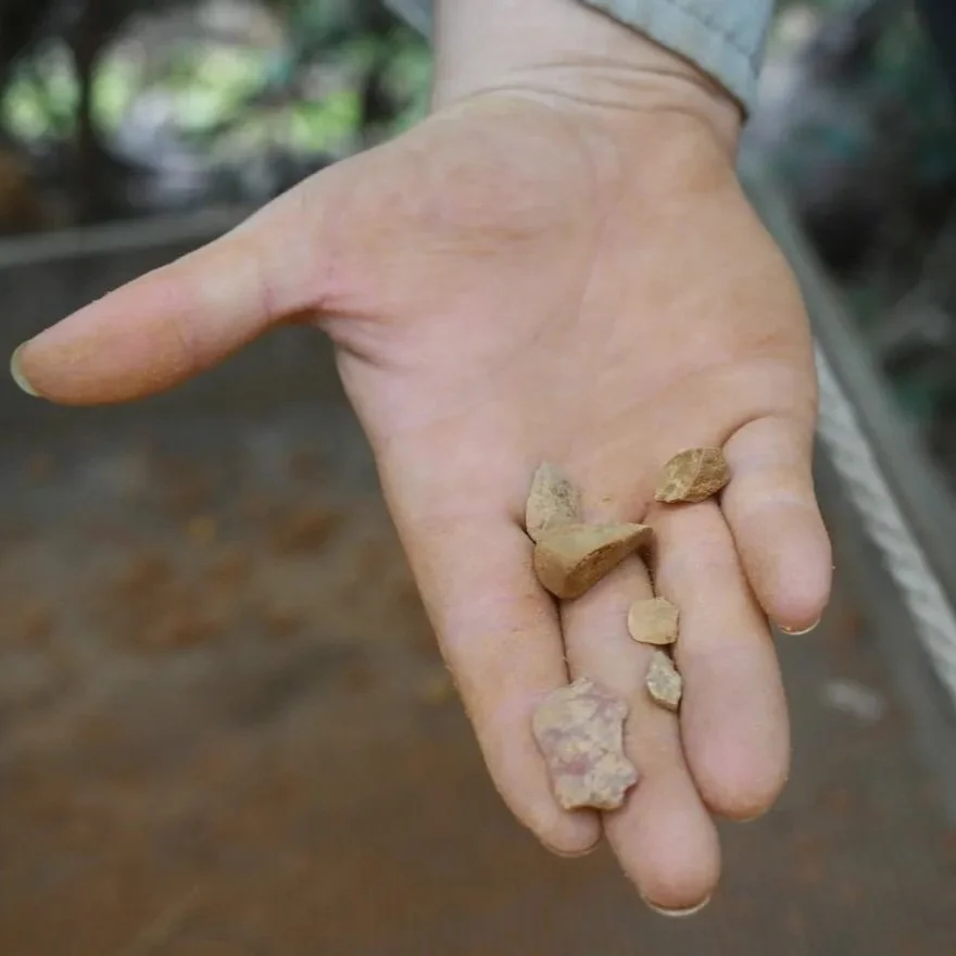 Unearthed: Archaeologists Discover Site Dating Back to the Ice Age in Kisatchie National Forest