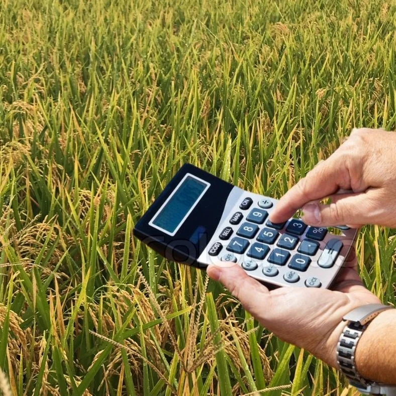 Sweltering Summer Could Contribute to Lower Crop Yields