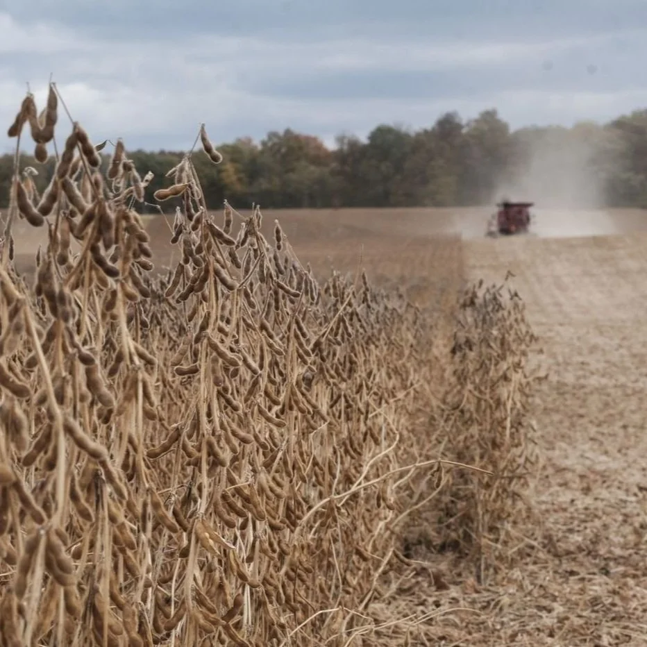 Farmers Worry $8.2B Agriculture Deal Will Diminish Competition