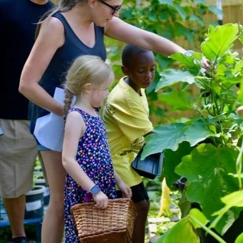 The Outdoor Garden Teaches, Inspires