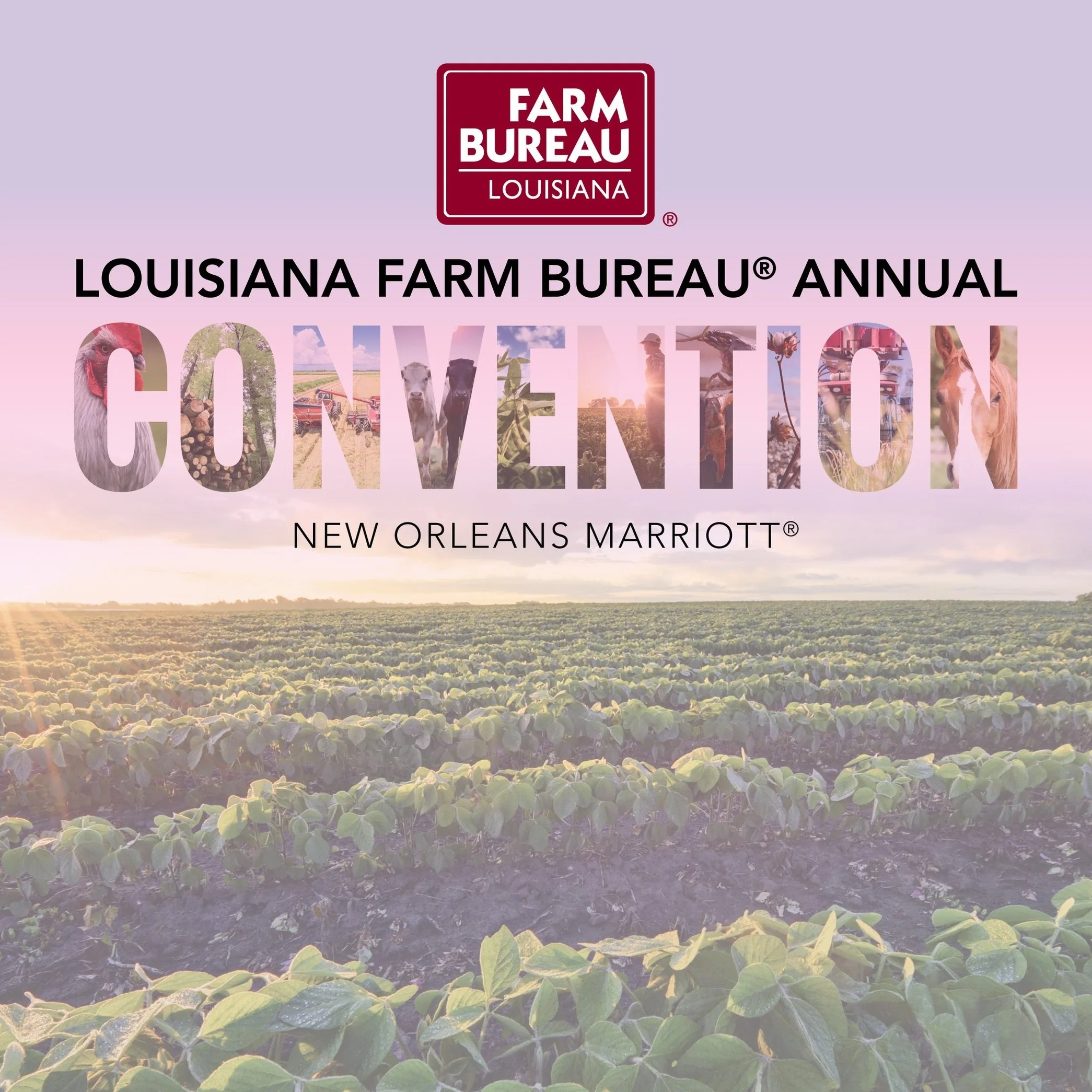 101st Louisiana Farm Bureau Annual Convention Underway