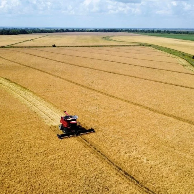 Rice Production Program Application Deadline Approaching