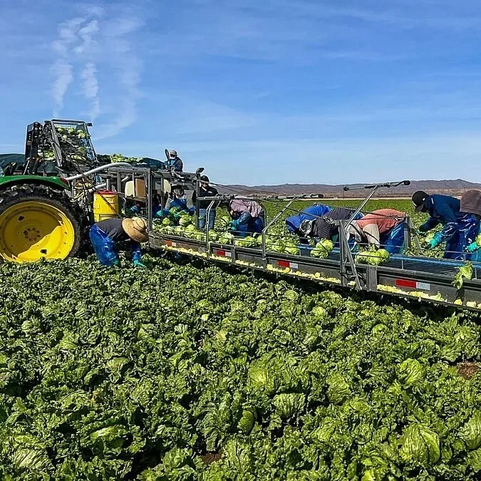 Farmers Need Answers to Labor Challenges