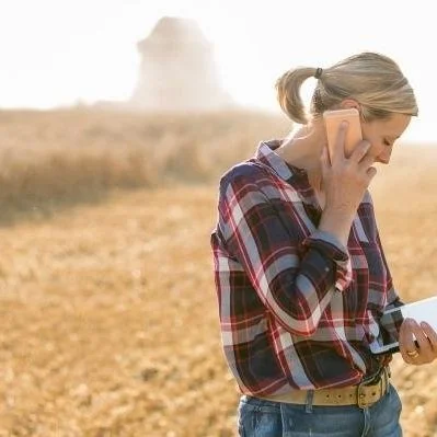 Heat, Drought Raise Concerns For Louisiana Cash Crops