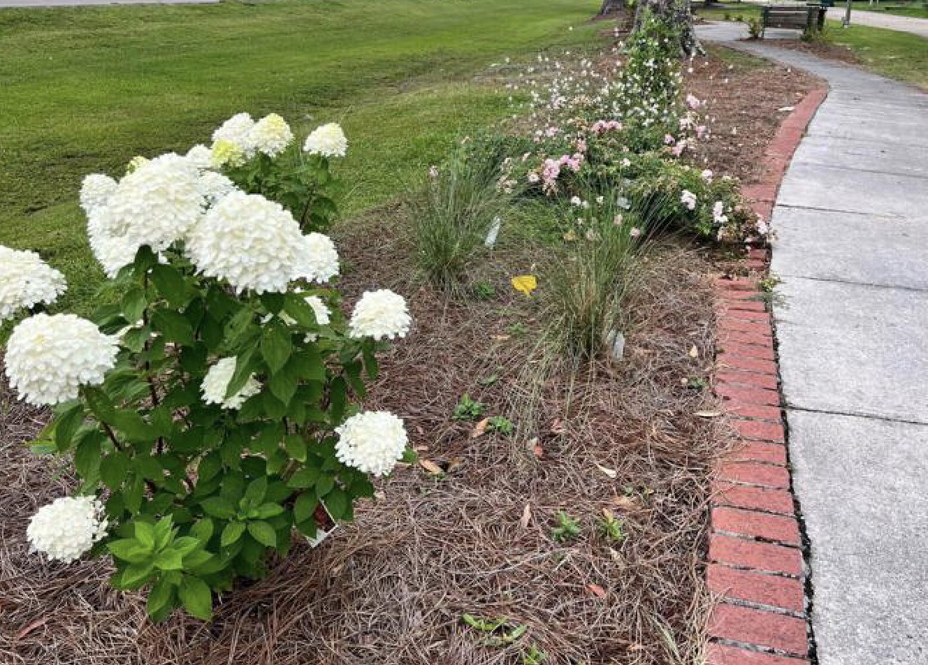 Applications Being Accepted for Louisiana Master Gardener Program