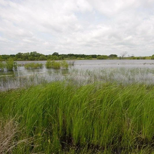 How an Idaho Couple’s Fight to Build a Home Near a Lake Might Affect Louisiana’s Wetlands
