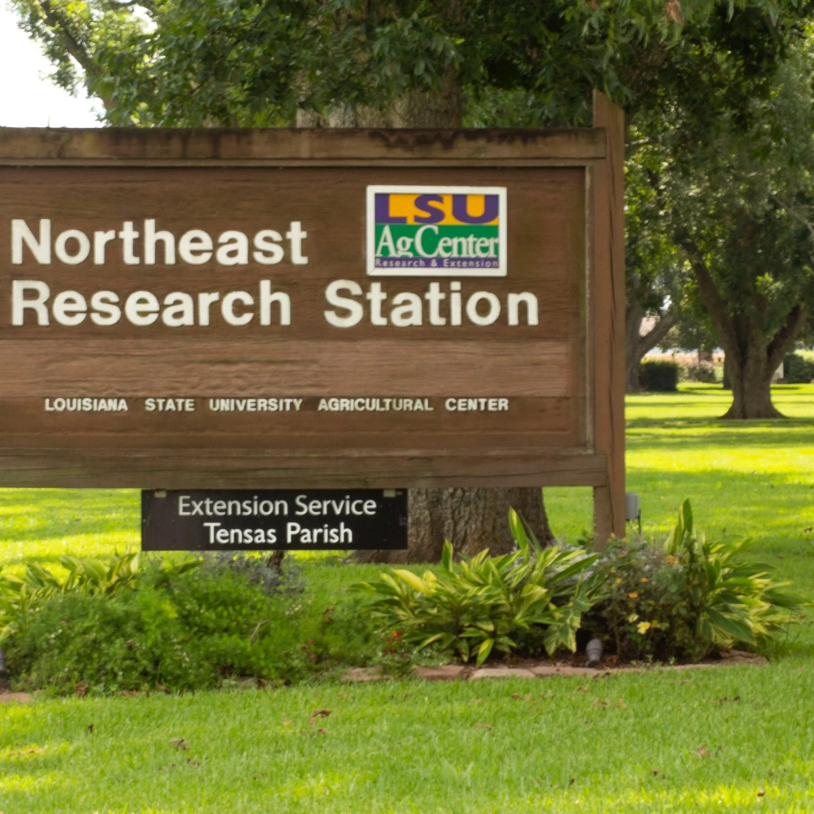 Cotton, Corn &amp; Soybean Field Tour Set For St. Jo Research Station