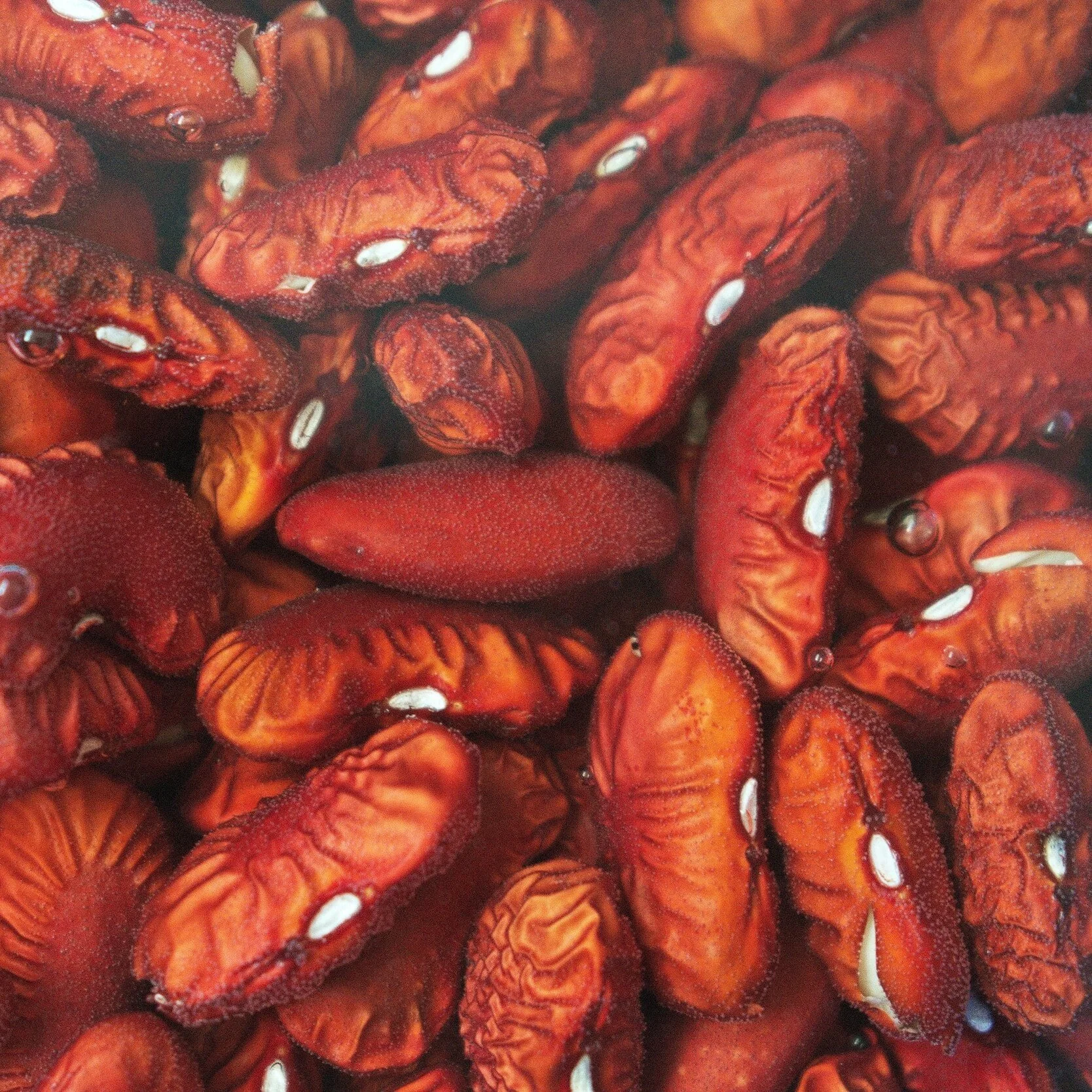 Meet The Man Sampling Red Beans And Rice Plates Across Southeast Louisiana