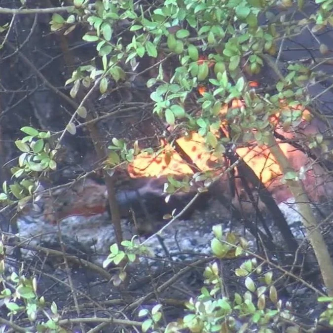 Desoto Parish, Shelby County Issue Burn Bans