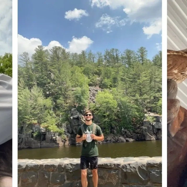 McNeese Student Works With Wolves