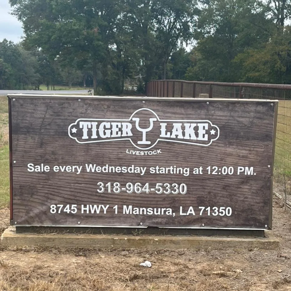Tiger Lake Livestock Auction: November 8, 2023
