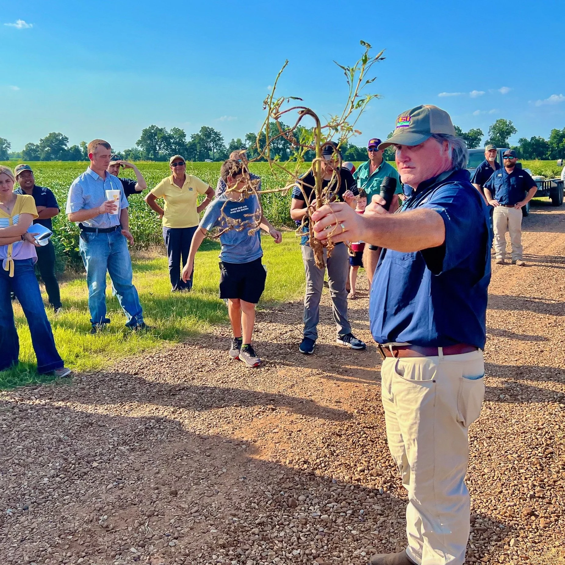 Agronomic Crops School Gives Producers A Change To Interact With AgCenter Researchers