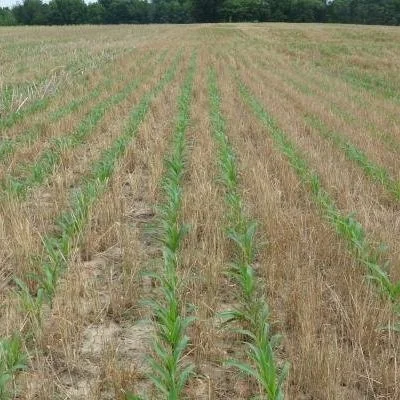 Positive Economic Impact Of Soil Health Management