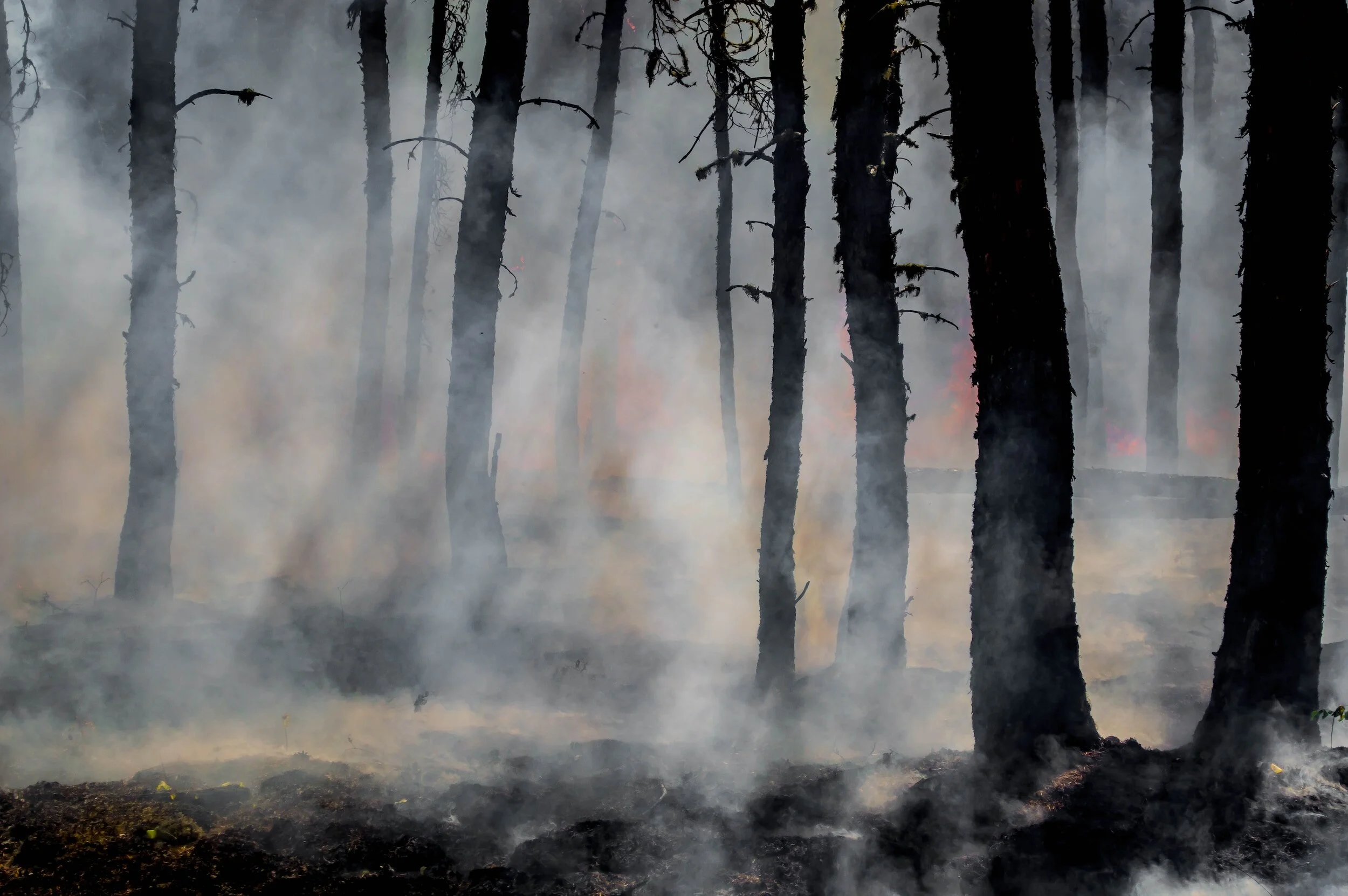 Large Grass Fires Rekindle Monday Morning in East Feliciana Parish