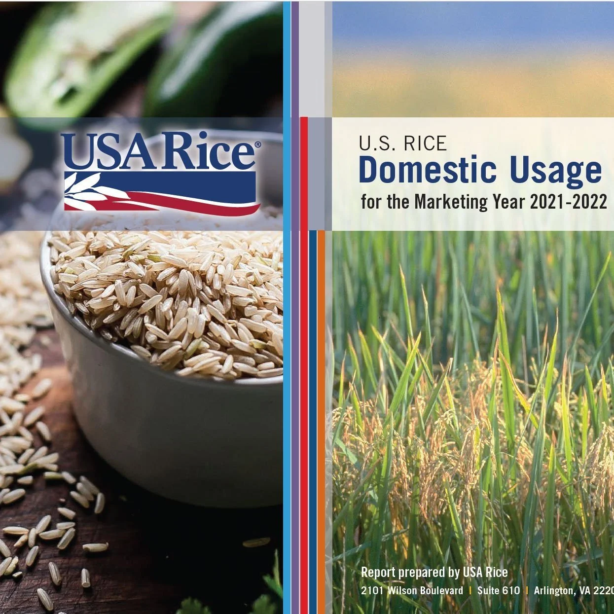 New Domestic Usage Report Includes Consumer Research Data