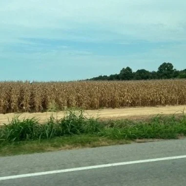 Infrastructure, Agriculture Hampered by Harsh Summer