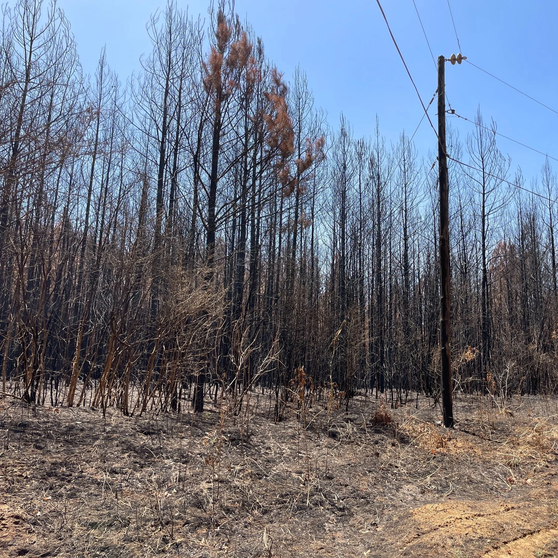 Gov. Edwards Holds UCG Meeting on Continuing Wildfires, Urges Adherence to Burn Ban