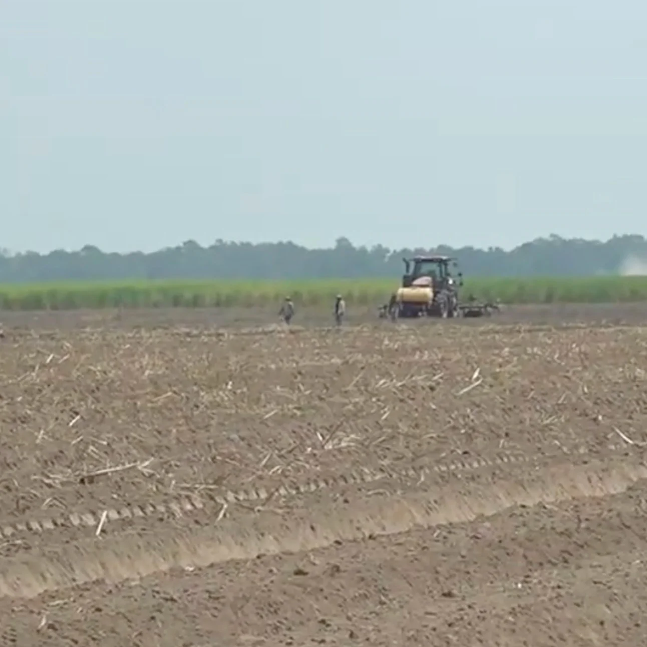 Statewide Burn Ban Exempts Farmers, but the Dry Summer Still Poses a Threat