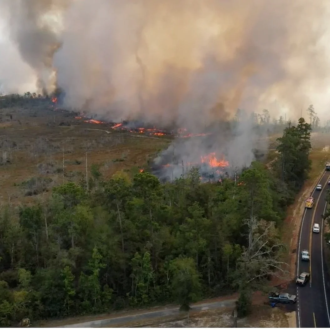 At Least Two Dead as ‘Unprecedented’ 450 Wildfires Scorch Louisiana