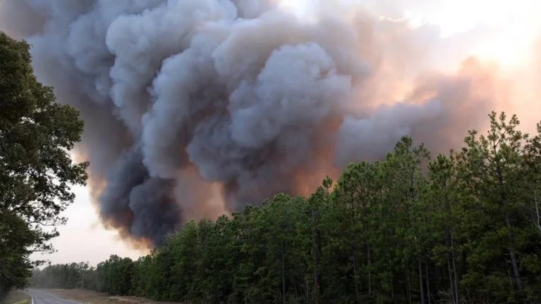 Unprecedented Wildfires Across Louisiana Force Multiple Evacuations Amid Extreme Drought