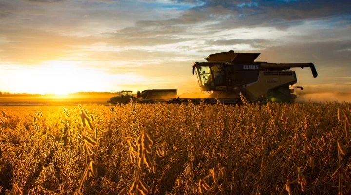 Severe Weather and Low Mississippi River Levels Bring Uncertainty to Harvest