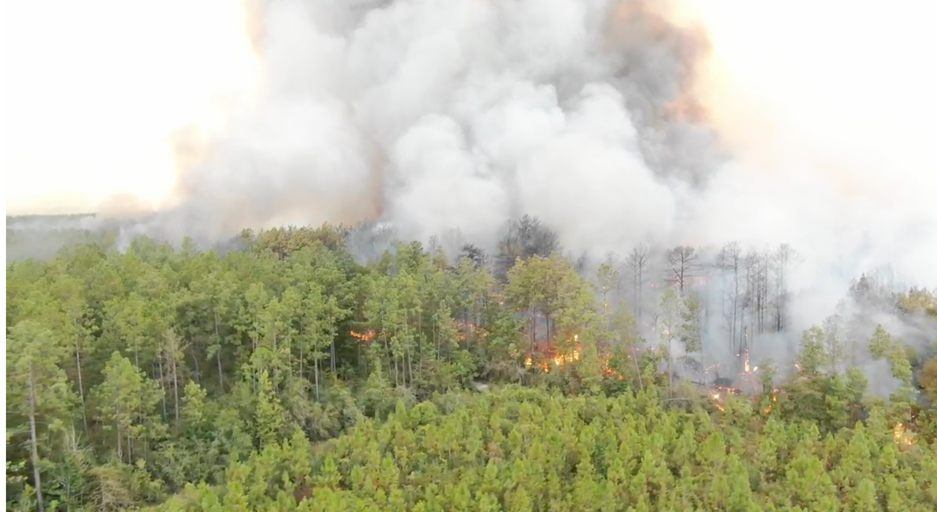 Louisiana, Like Other Southern States, Relies on Outside Airborne Help to Fight Wildfires