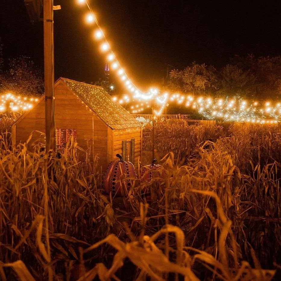 Best Corn Mazes in Louisiana
