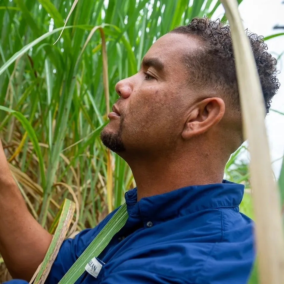 Black Farmers Race to Apply for Discrimination Compensation
