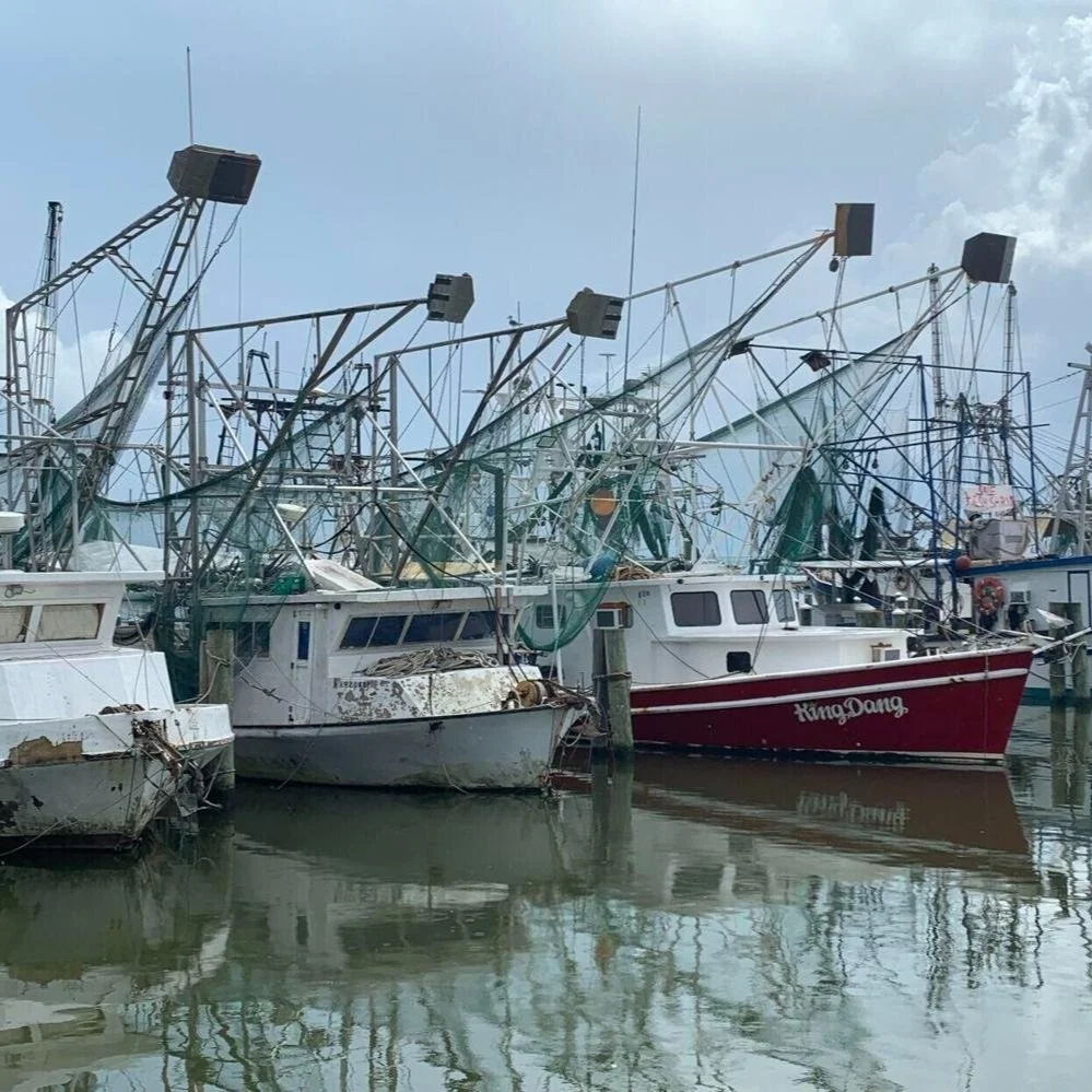 Edwards Requests Emergency Declaration to Help Louisiana Shrimping Industry
