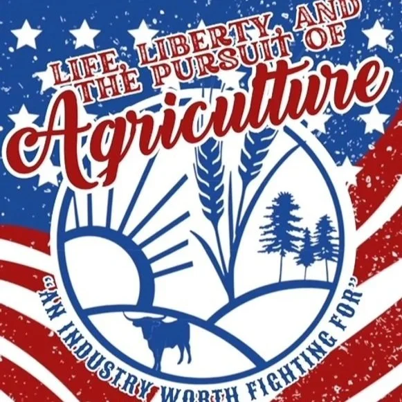 Beauregard Parish Fair Returns for Another Year