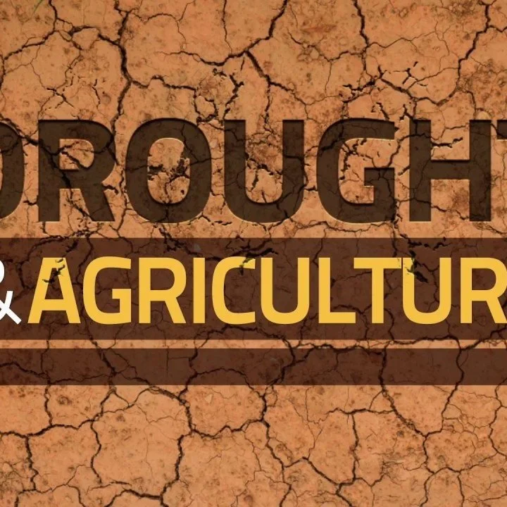 Drought Conditions Impacting Crop Insurance Costs