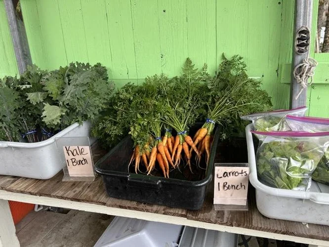 Earthshare Gardens: Teach a Person to Farm and Provide Food for a Lifetime