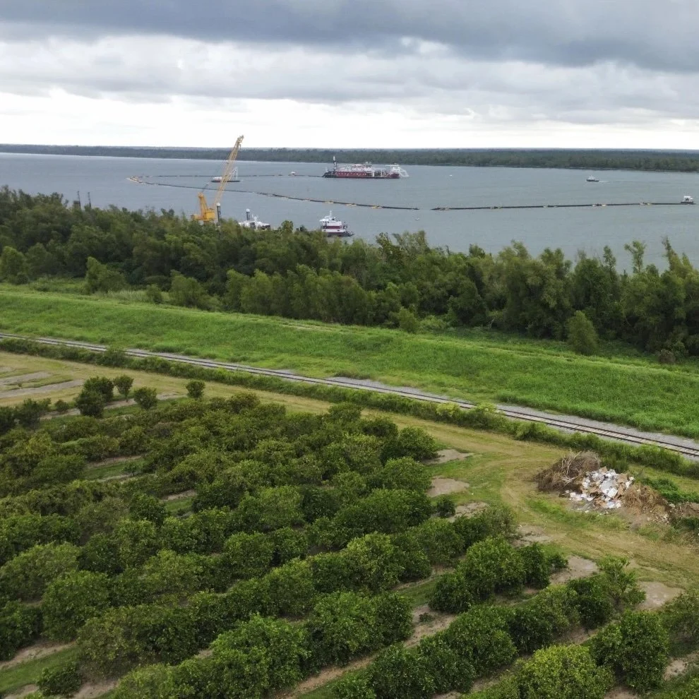 Louisiana Citrus Farmers are Seeing a Mass Influx of Salt Water that Could Threaten Seedlings