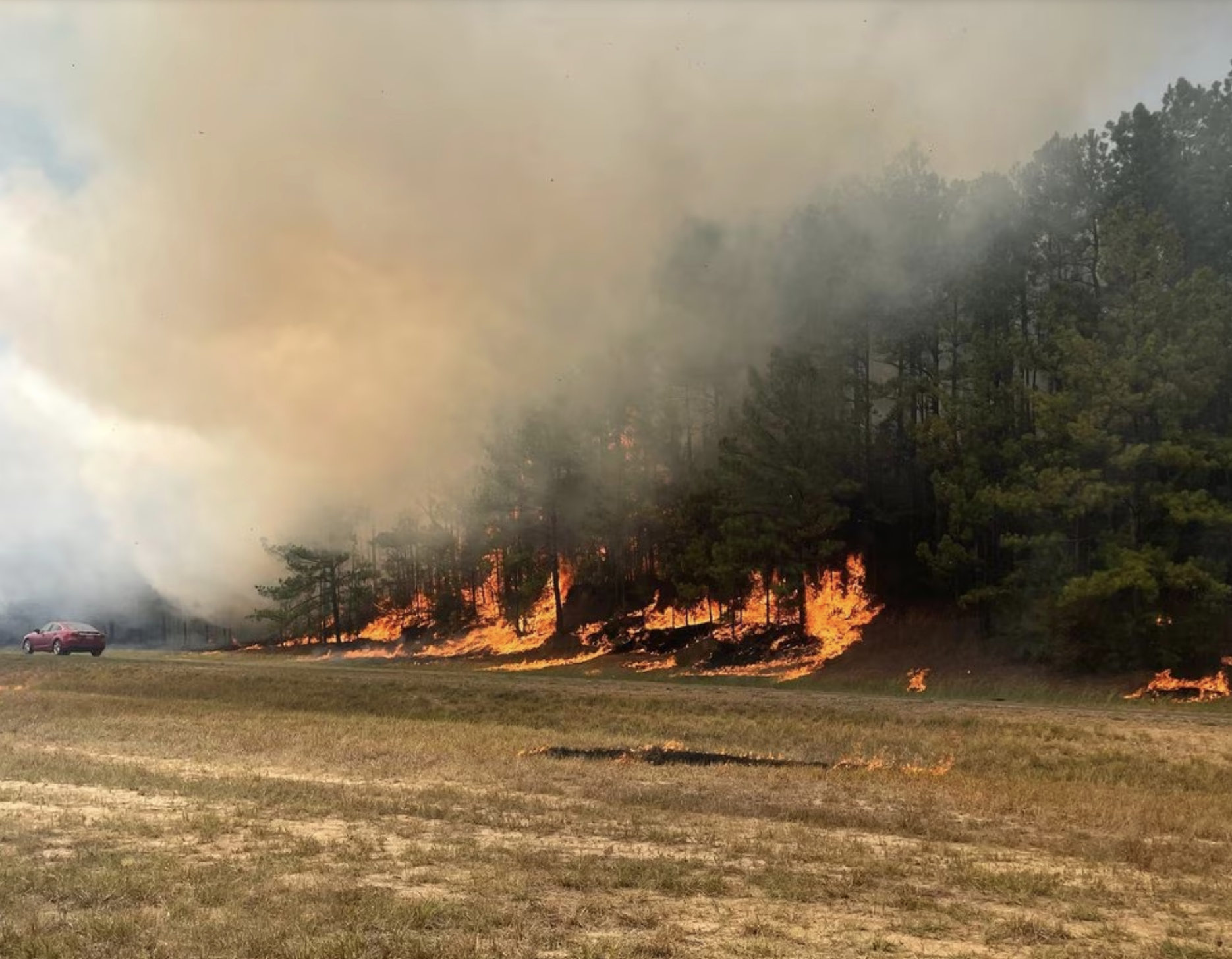 Wildfire Danger Persists in Sabine Parish