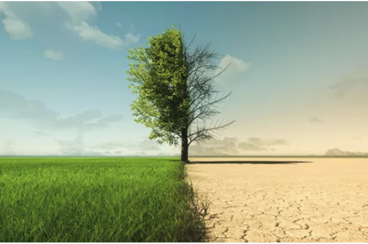 How Farmers Are Combatting Climate Troubles