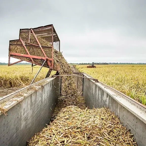 Grant Will Train Louisiana High Schoolers on How Drones Can Be Used in Agriculture