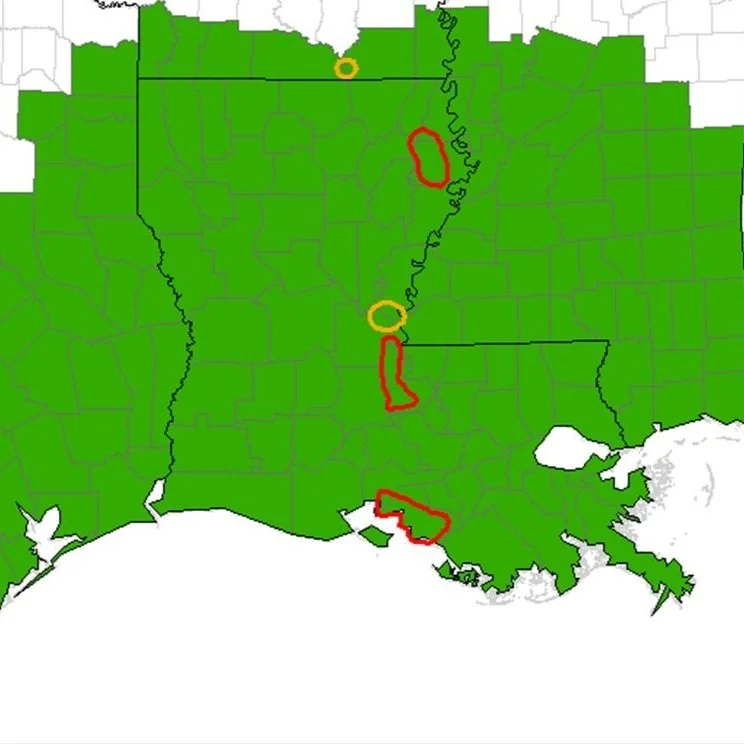 Black Bear Season Eyed by Commissioners