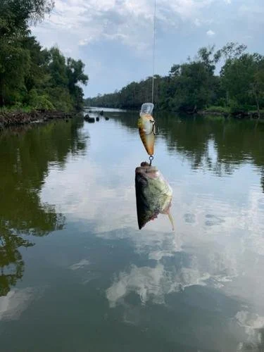 As of Now, Basin Spared From Idea to Stop Miss. River Flow at Simmesport